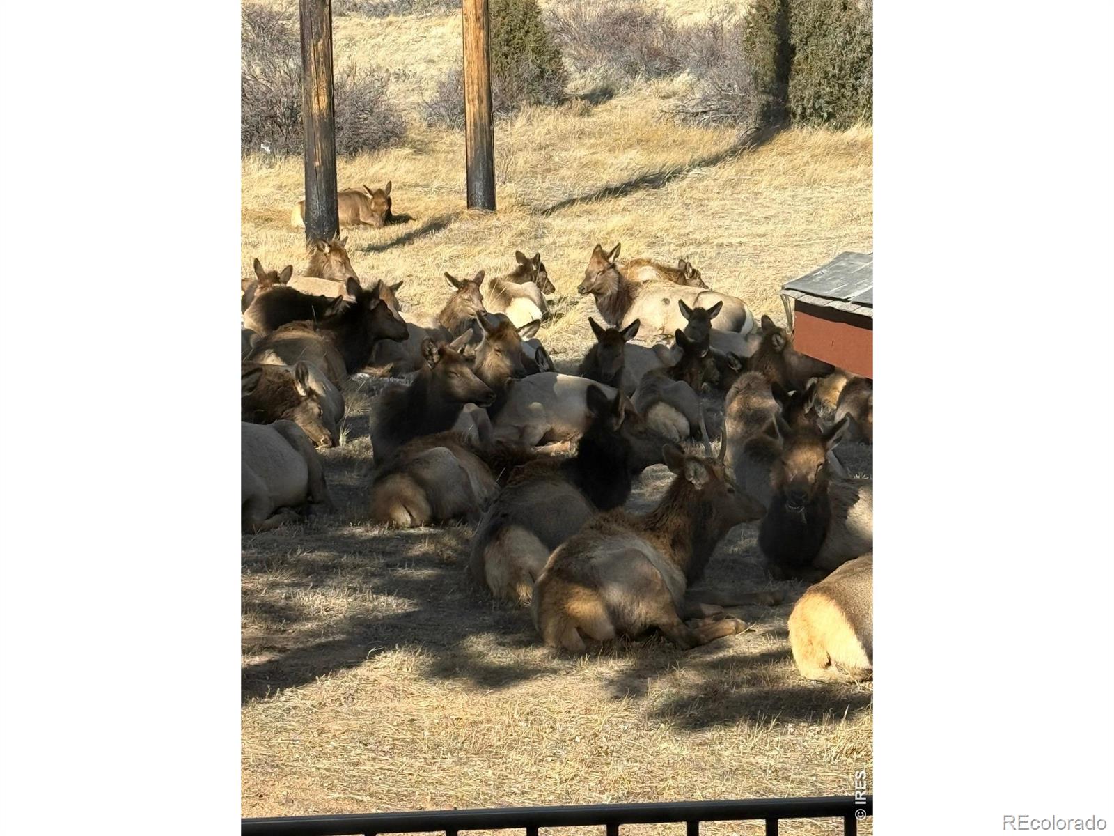 MLS Image #9 for 1817  ranch circle,estes park, Colorado