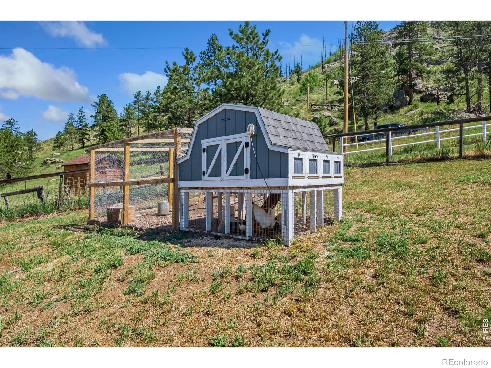 MLS Image #24 for 1154  spring valley road,bellvue, Colorado