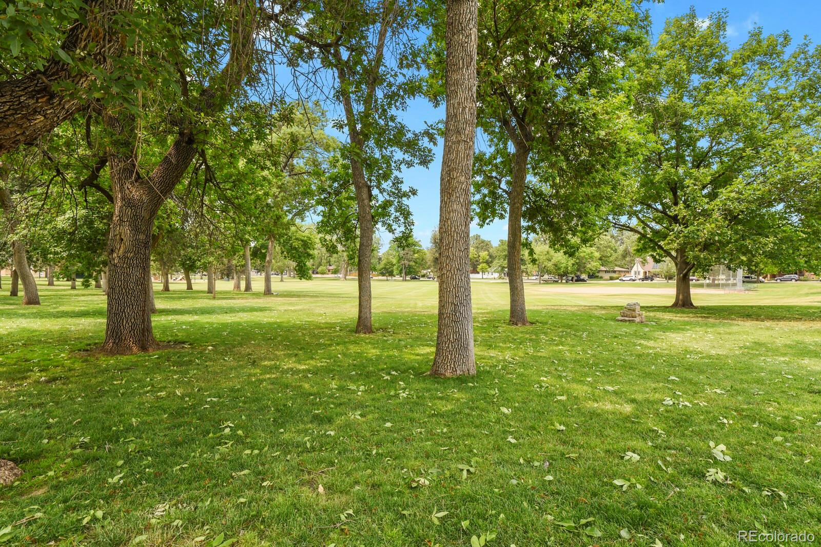 MLS Image #25 for 1315 e boulder street,colorado springs, Colorado