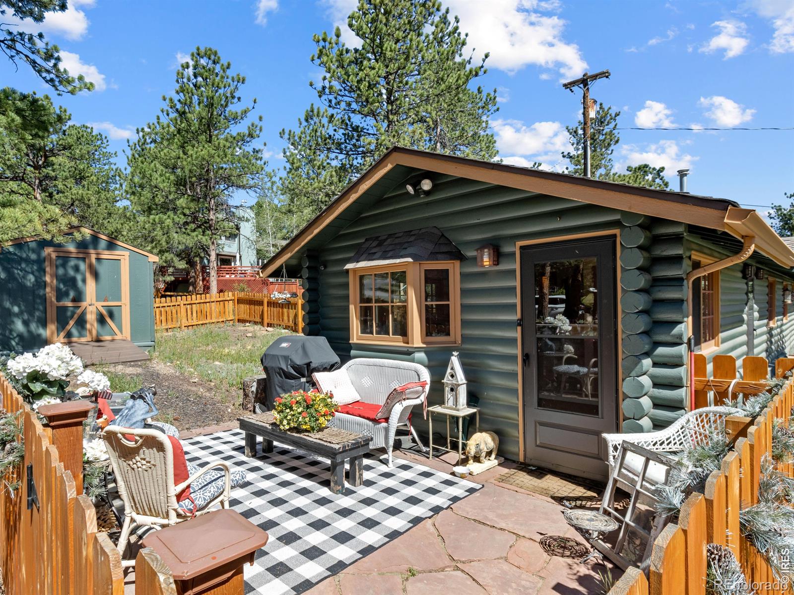 MLS Image #0 for 1099  lexington lane,estes park, Colorado