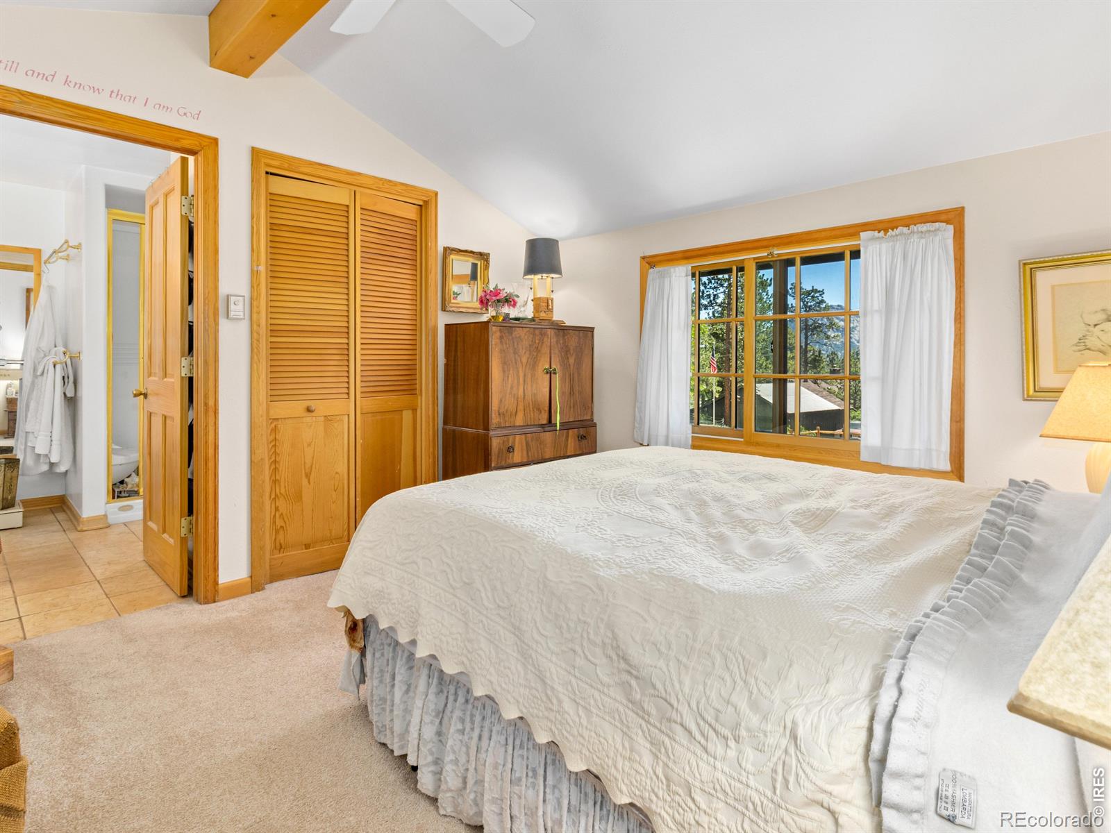 MLS Image #10 for 1099  lexington lane,estes park, Colorado