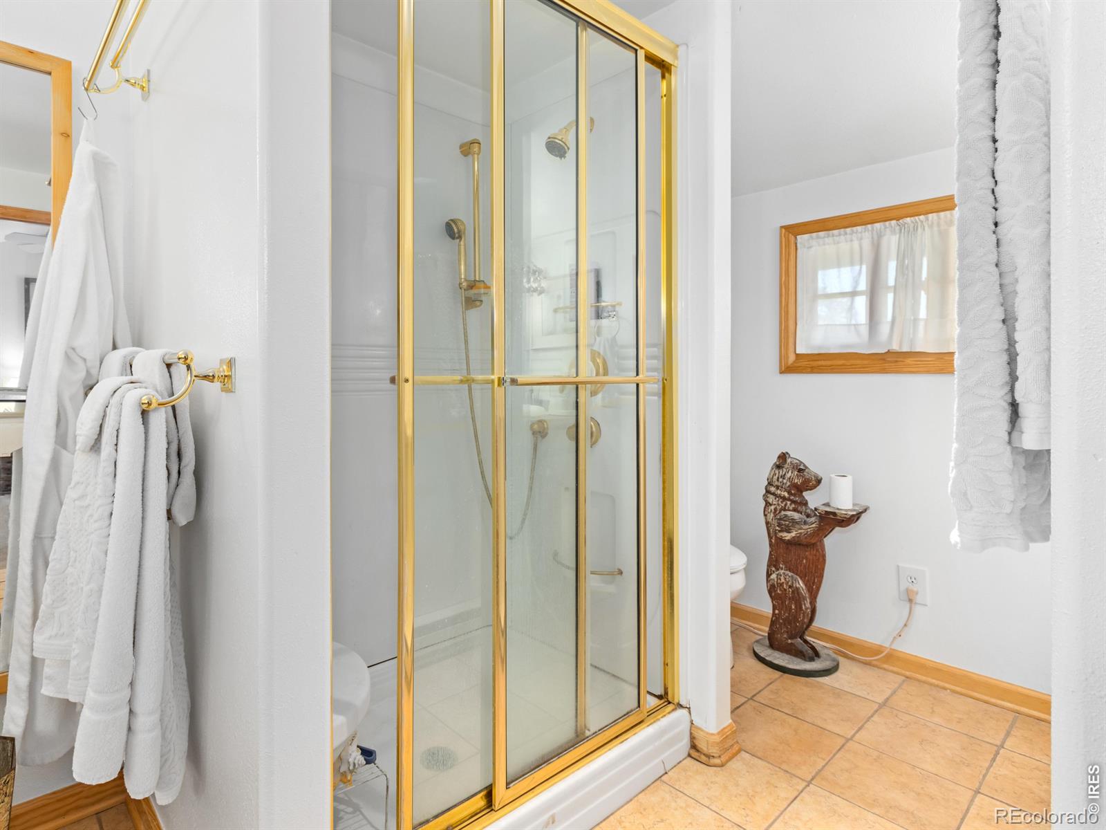 MLS Image #12 for 1099  lexington lane,estes park, Colorado