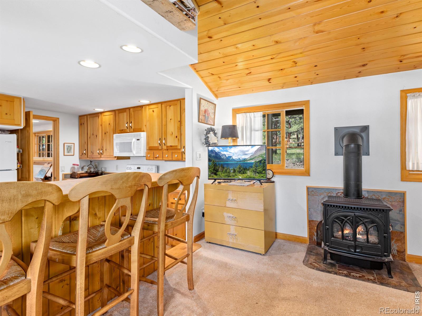 MLS Image #15 for 1099  lexington lane,estes park, Colorado
