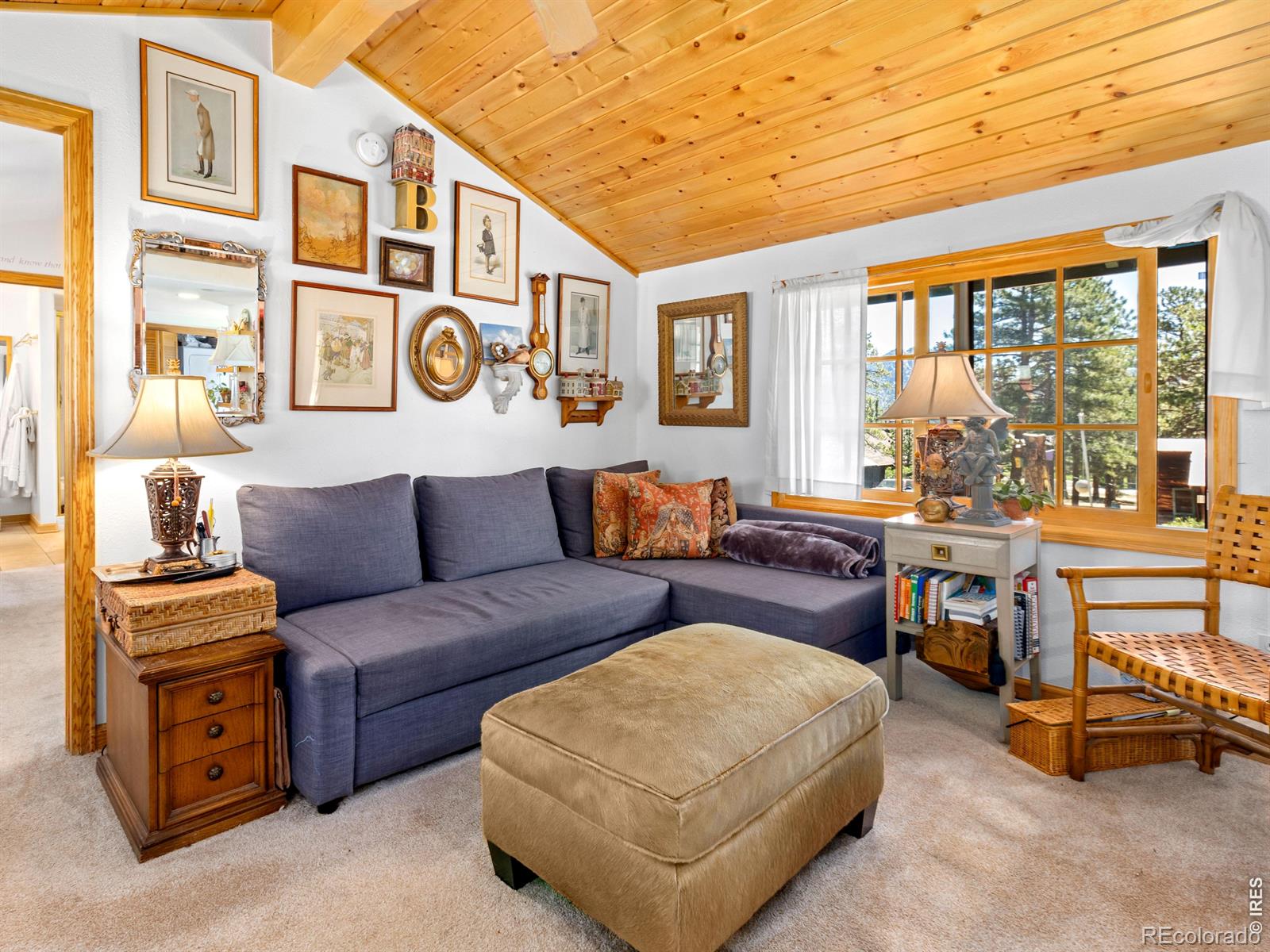 MLS Image #16 for 1099  lexington lane,estes park, Colorado