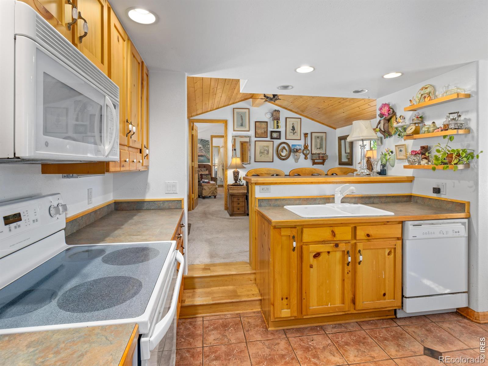 MLS Image #6 for 1099  lexington lane,estes park, Colorado