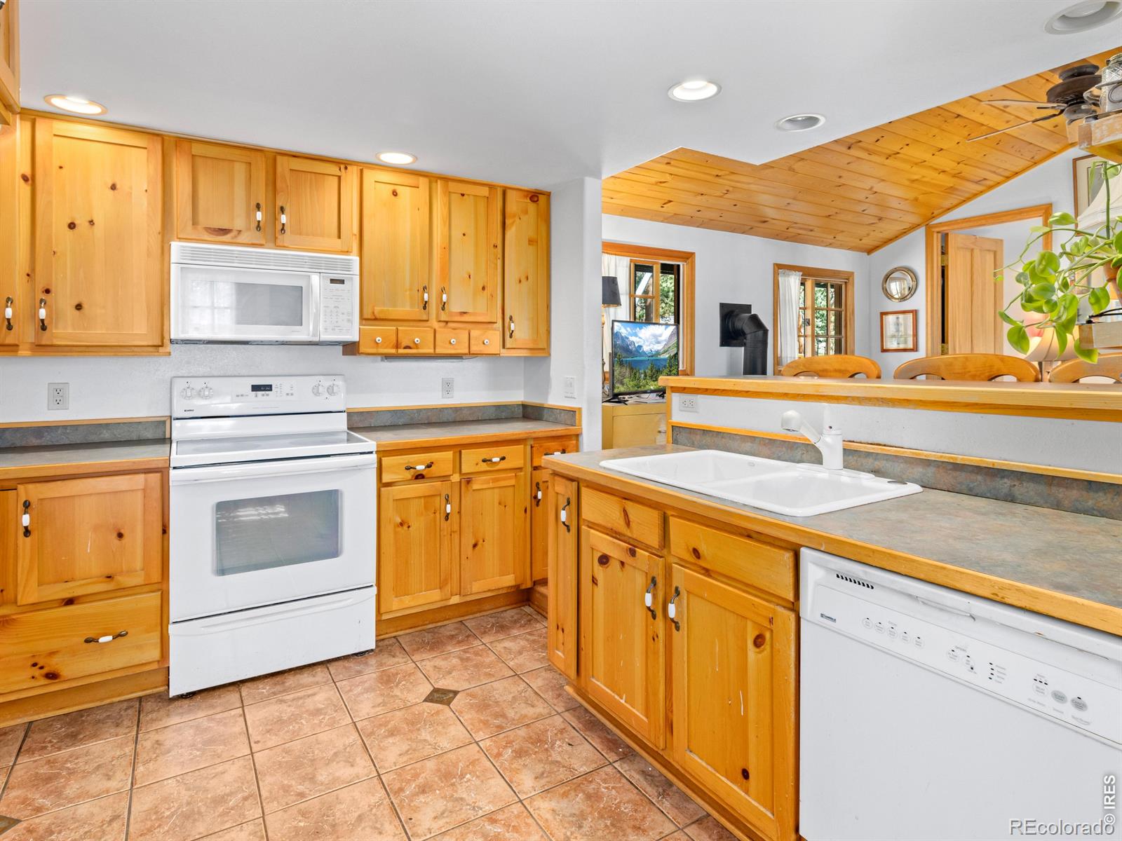 MLS Image #7 for 1099  lexington lane,estes park, Colorado