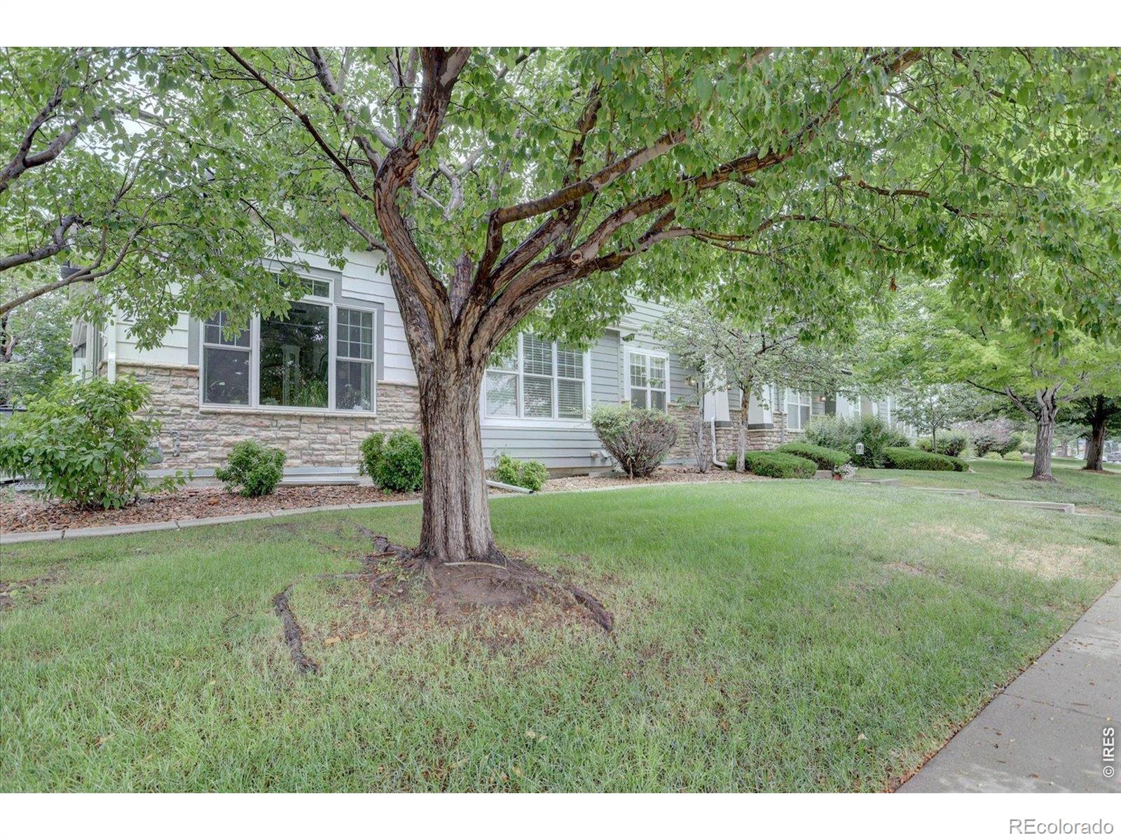 MLS Image #23 for 2550  winding river drive m2,broomfield, Colorado