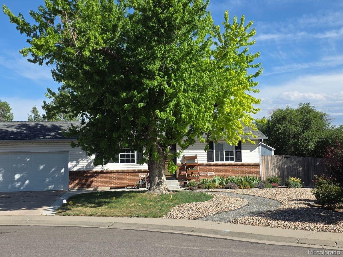 MLS Image #1 for 11410  madison street,denver, Colorado