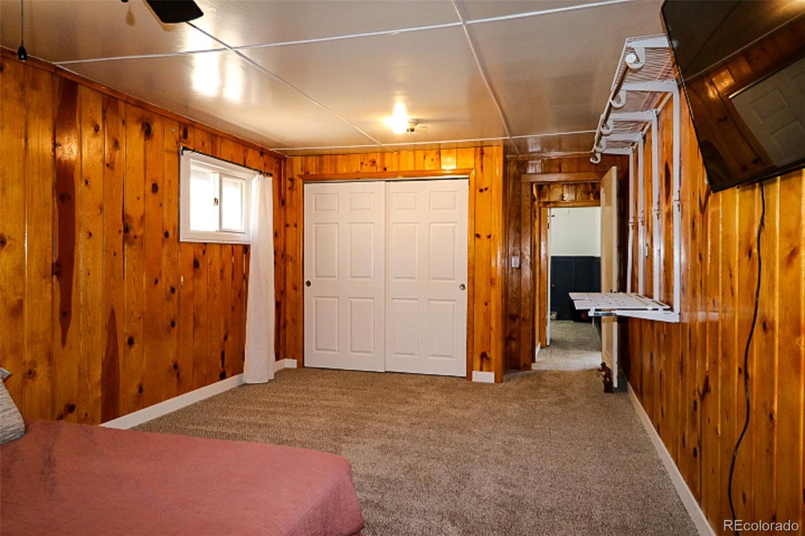 MLS Image #13 for 731  midland court,lake george, Colorado