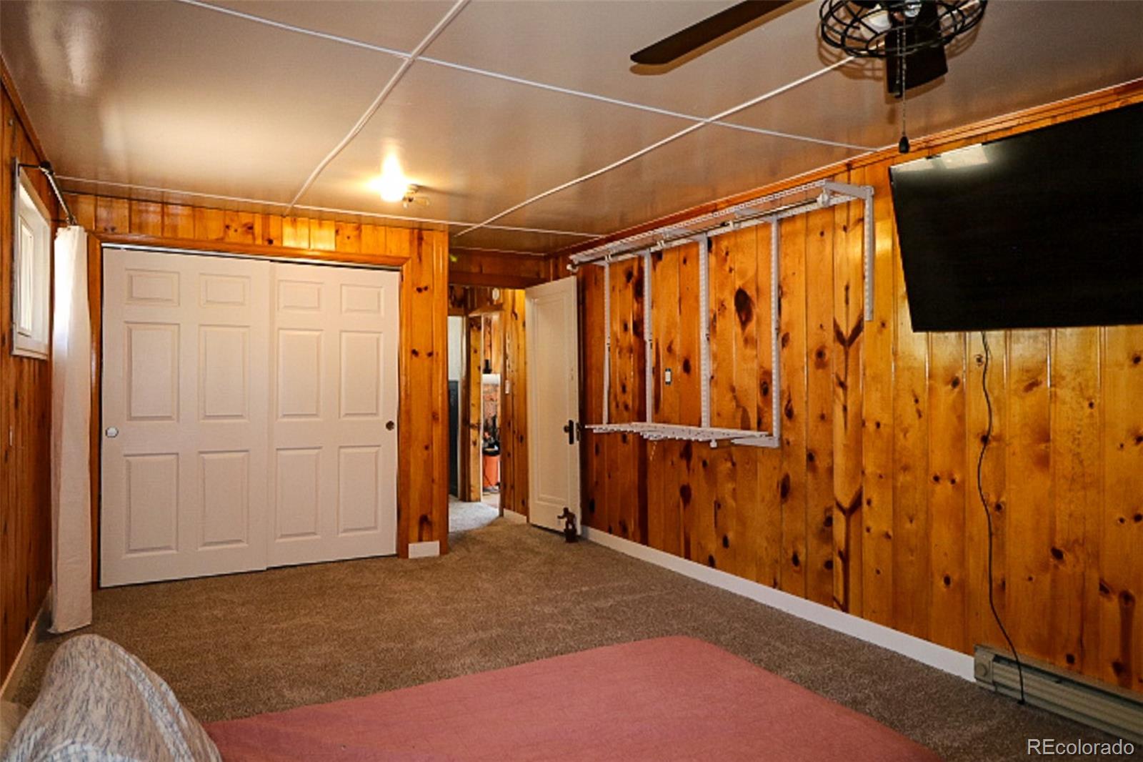 MLS Image #14 for 731  midland court,lake george, Colorado