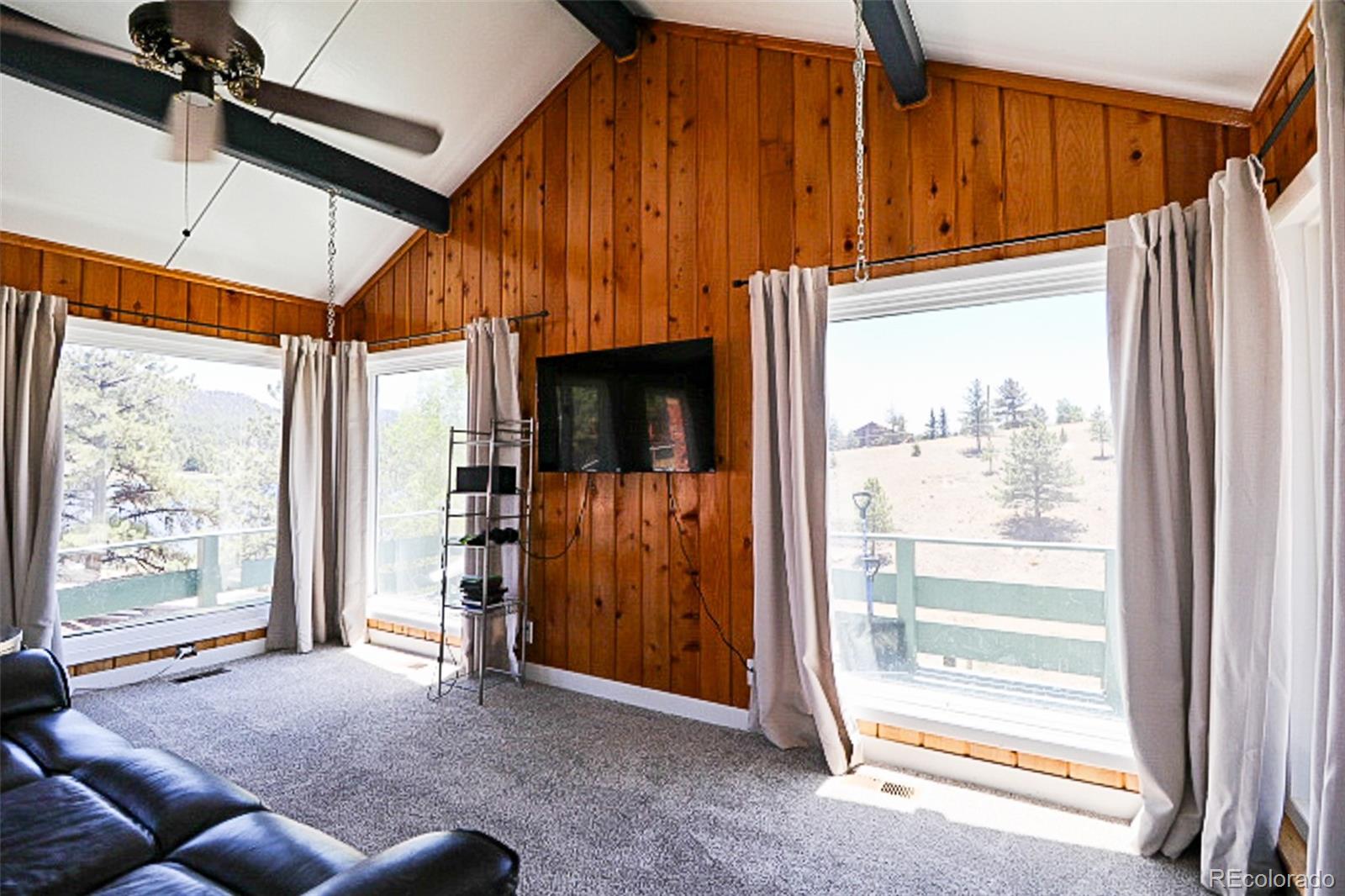 MLS Image #3 for 731  midland court,lake george, Colorado