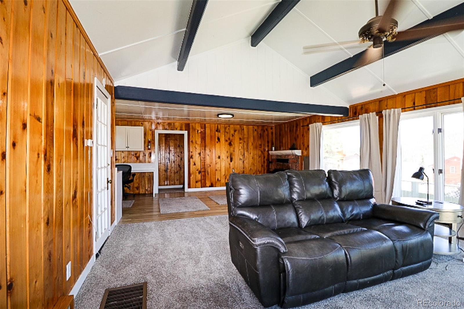 MLS Image #4 for 731  midland court,lake george, Colorado