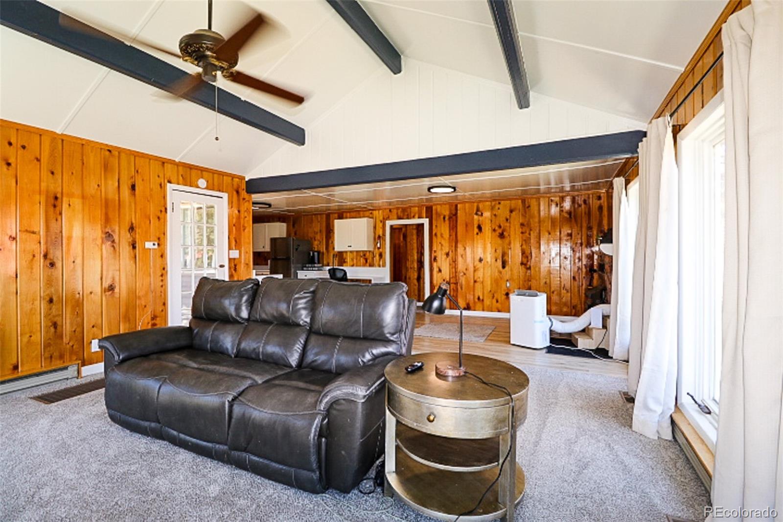 MLS Image #5 for 731  midland court,lake george, Colorado