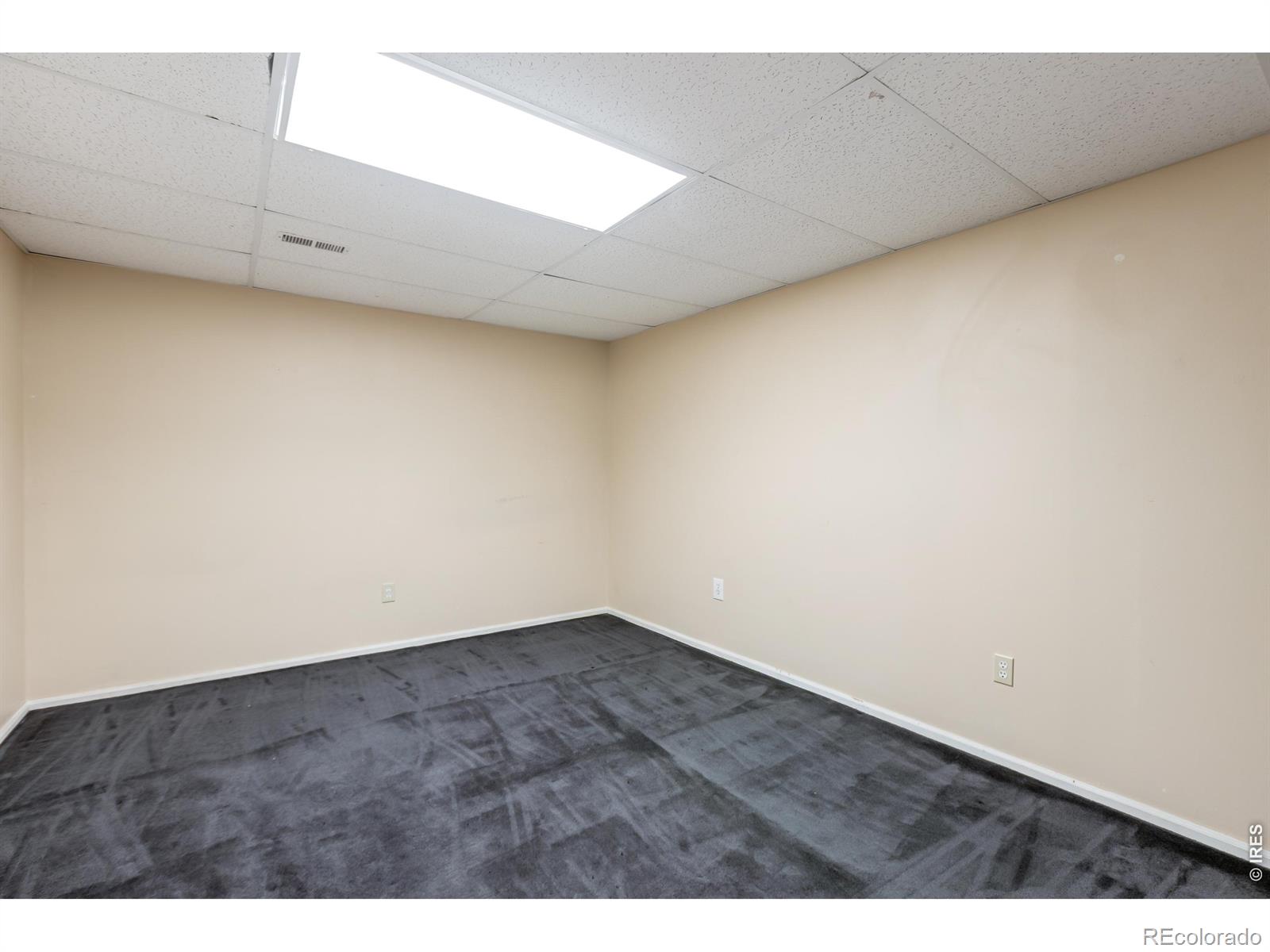 MLS Image #12 for 742  lilac drive,windsor, Colorado
