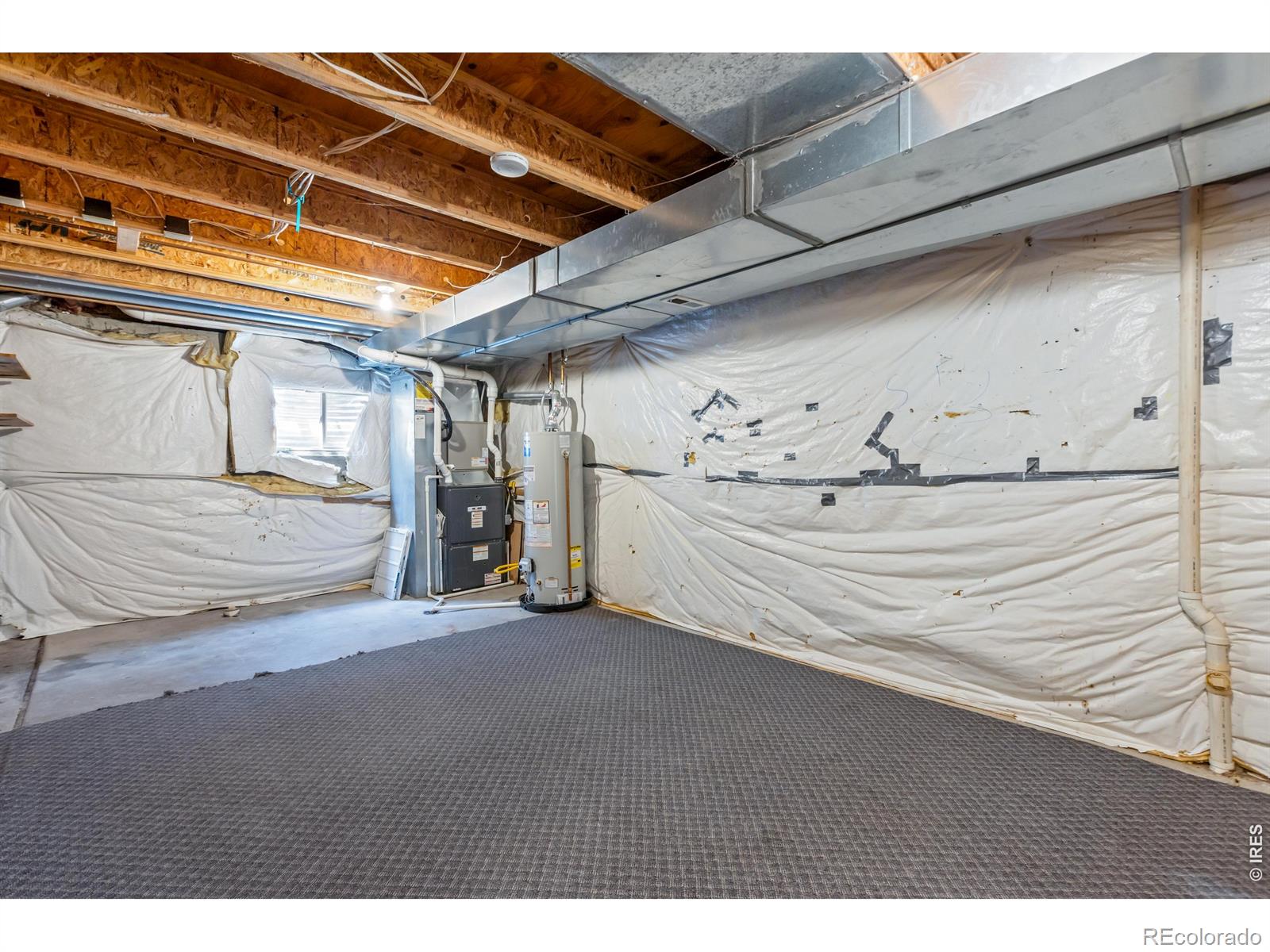 MLS Image #14 for 742  lilac drive,windsor, Colorado