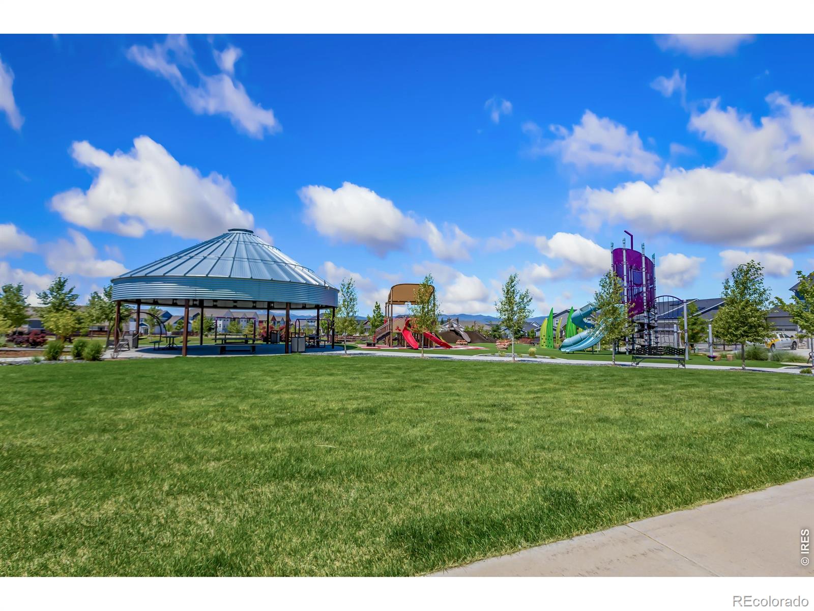 MLS Image #15 for 742  lilac drive,windsor, Colorado