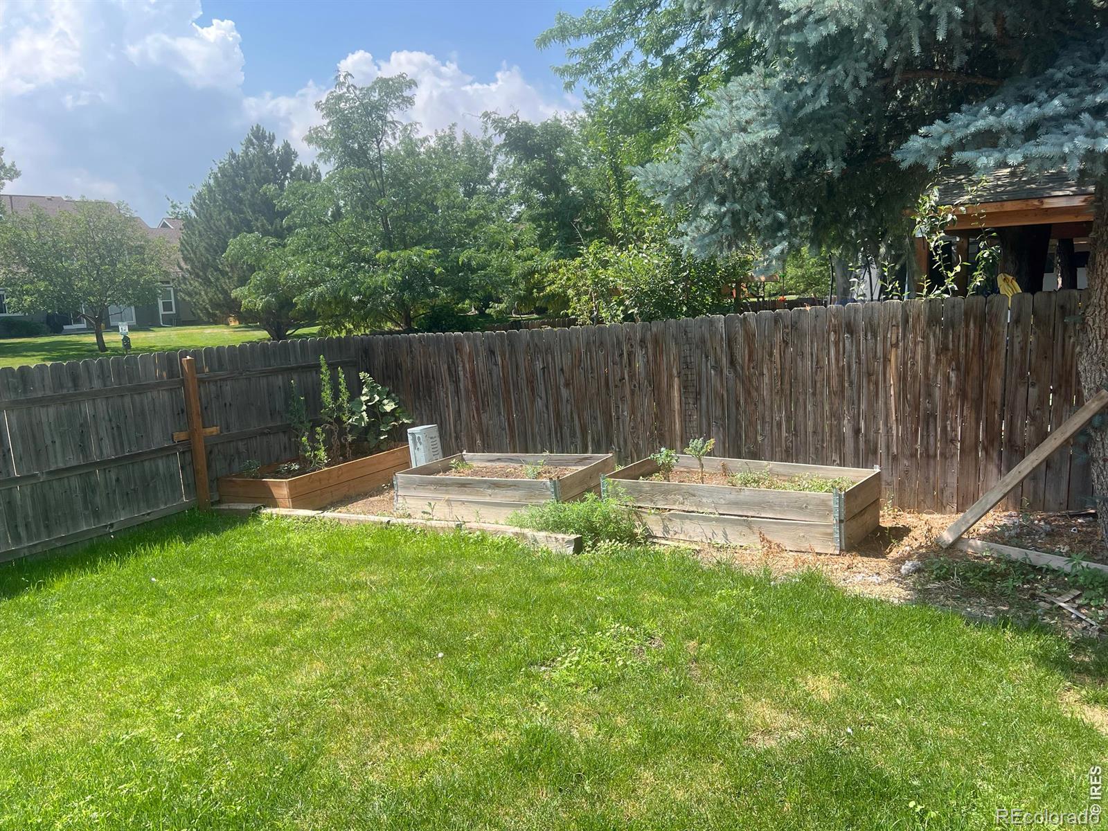 MLS Image #23 for 742  lilac drive,windsor, Colorado