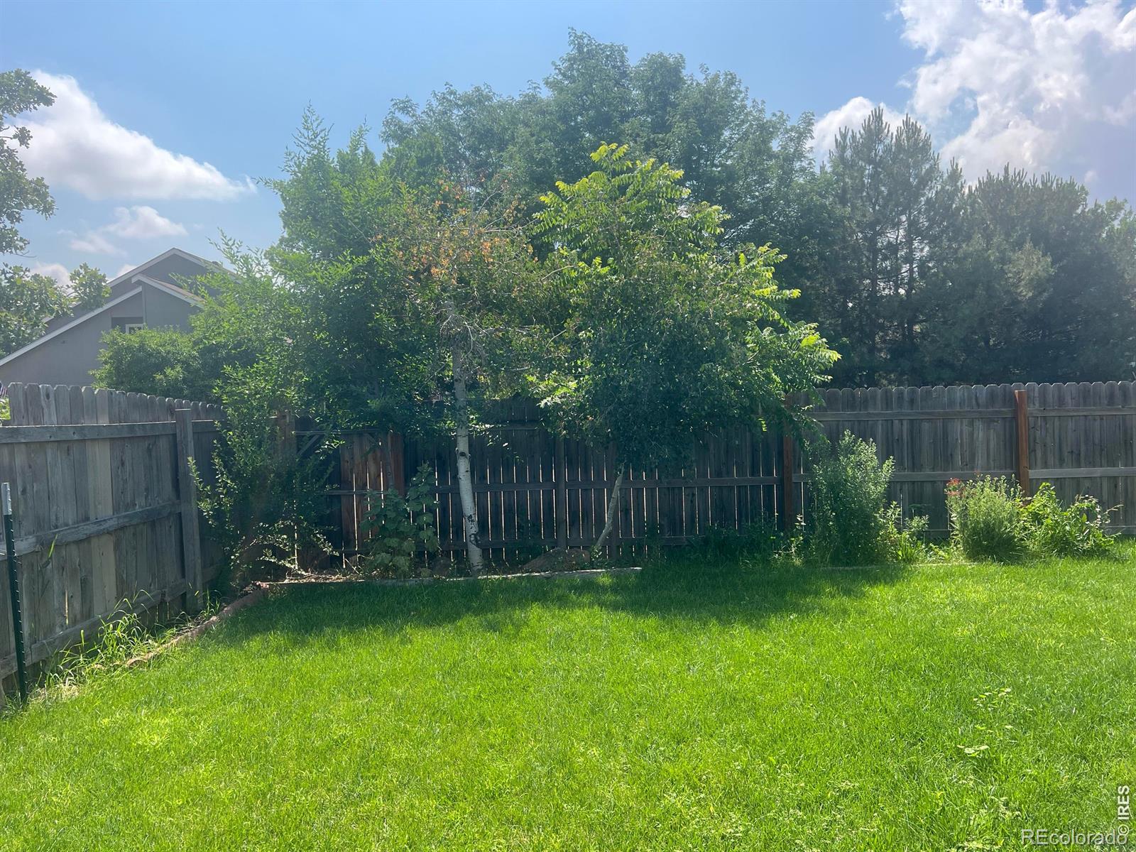 MLS Image #25 for 742  lilac drive,windsor, Colorado