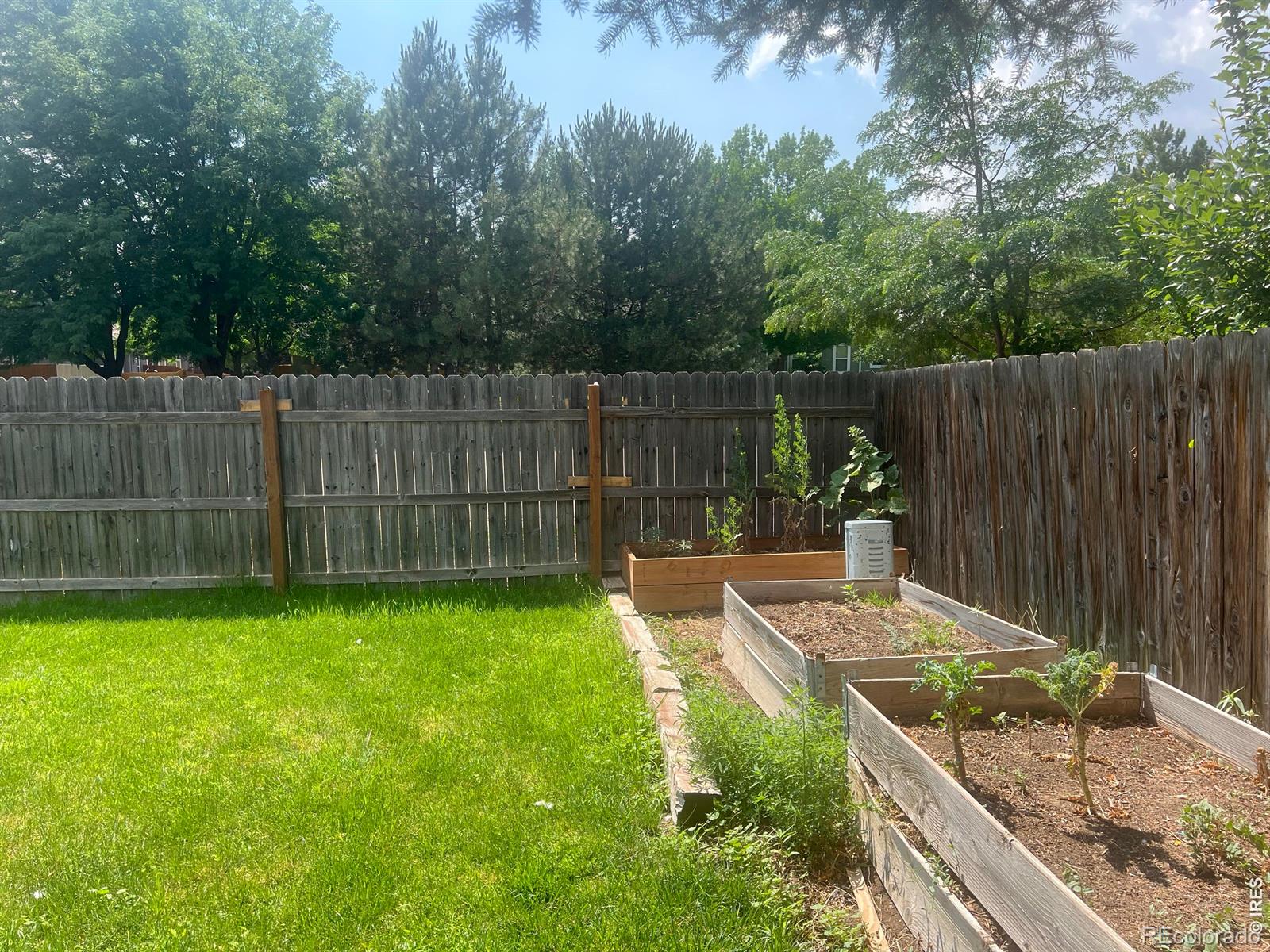 MLS Image #31 for 742  lilac drive,windsor, Colorado
