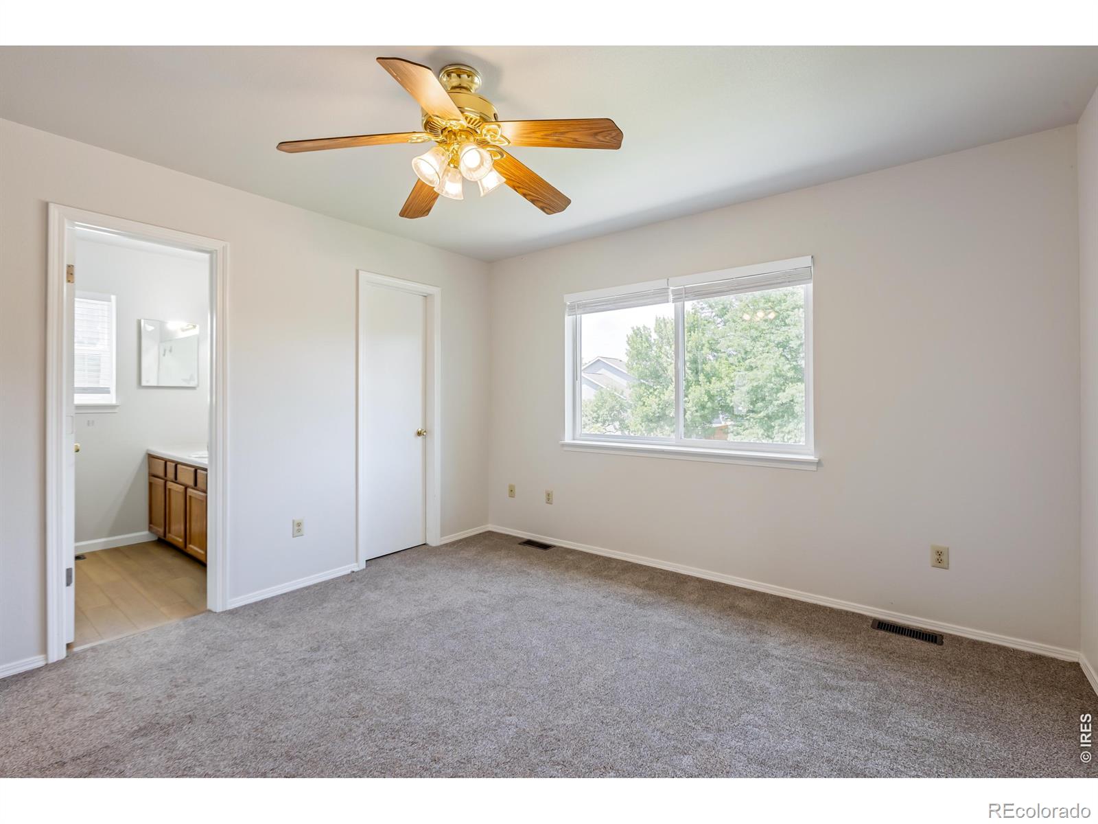 MLS Image #6 for 742  lilac drive,windsor, Colorado