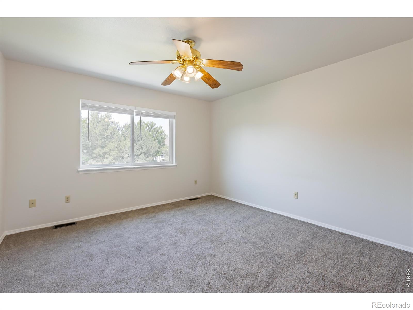 MLS Image #7 for 742  lilac drive,windsor, Colorado