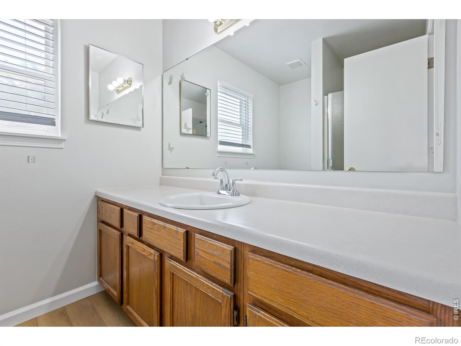 MLS Image #8 for 742  lilac drive,windsor, Colorado