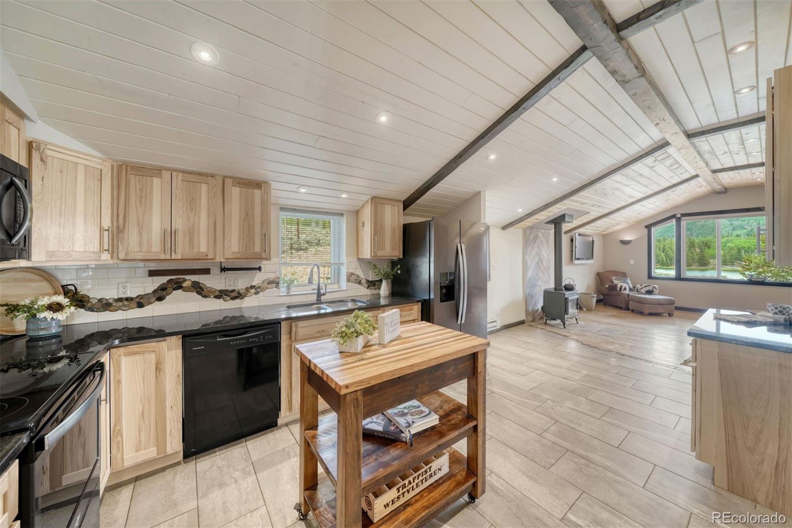 MLS Image #2 for 143  elk road,leadville, Colorado