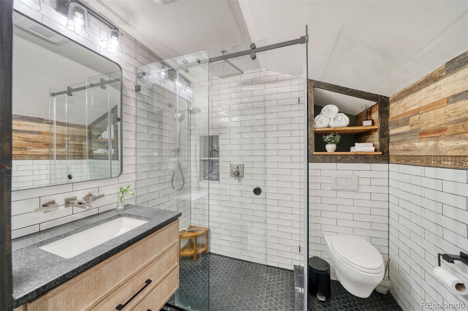 MLS Image #3 for 143  elk road,leadville, Colorado