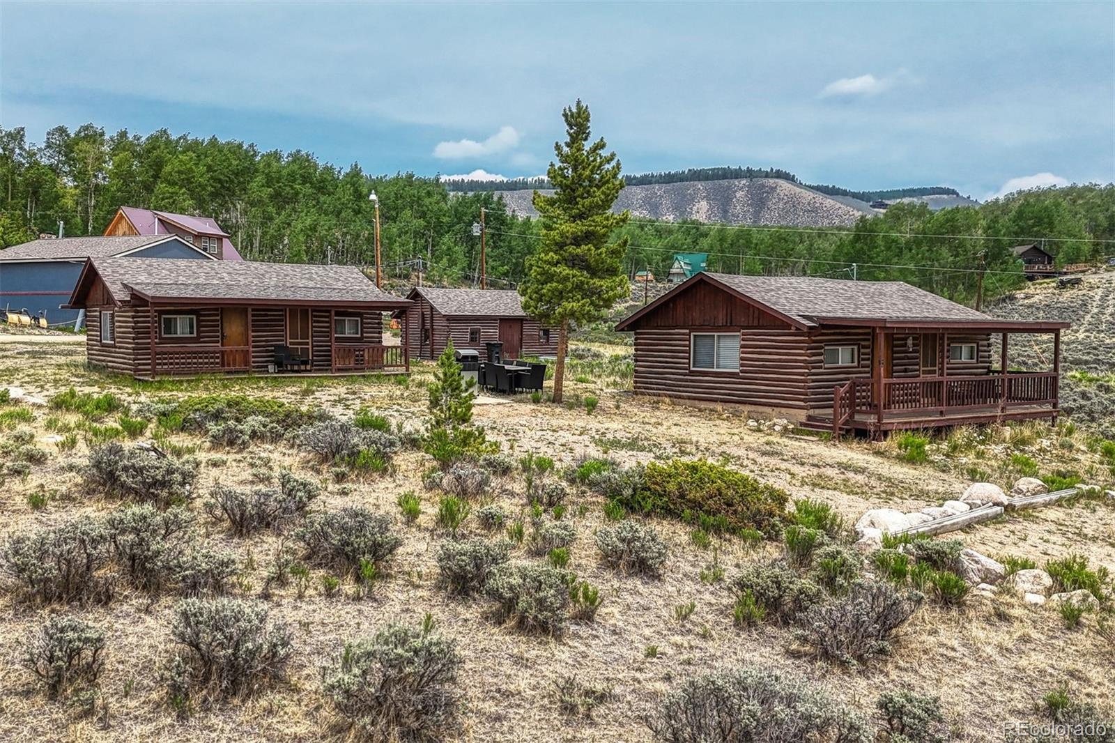 MLS Image #43 for 143  elk road,leadville, Colorado