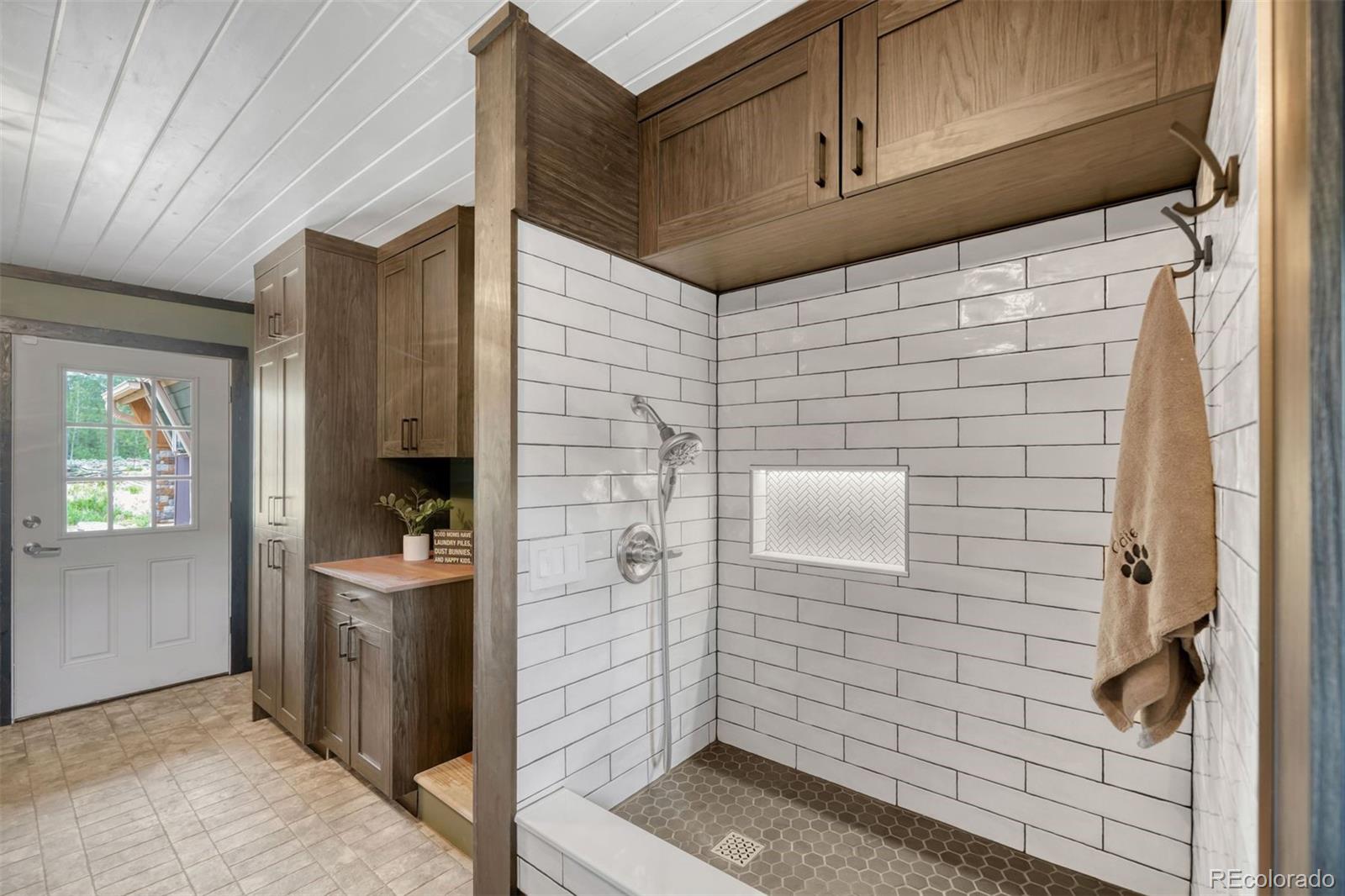 MLS Image #5 for 143  elk road,leadville, Colorado