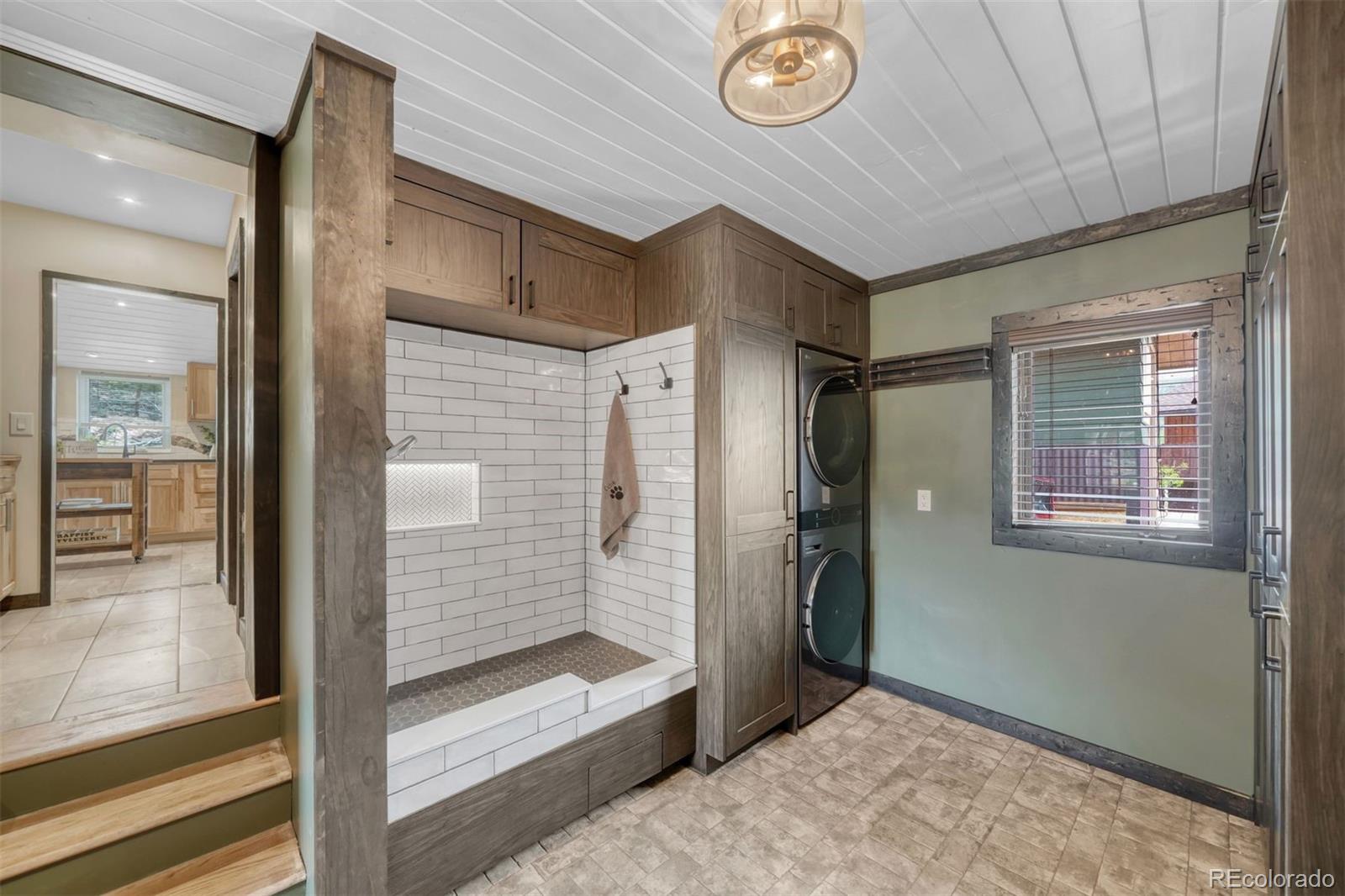 MLS Image #7 for 143  elk road,leadville, Colorado
