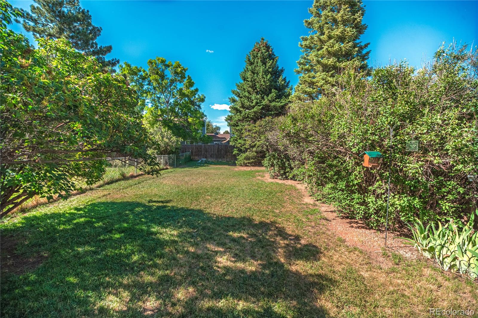 MLS Image #11 for 3110  sumac street,fort collins, Colorado