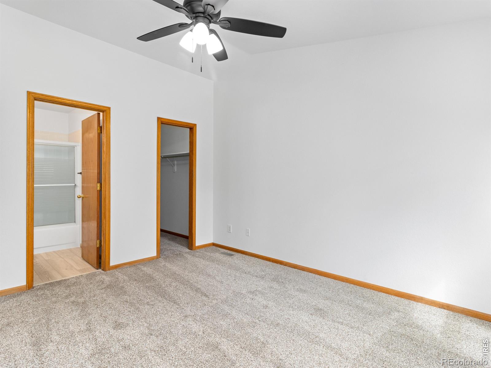 MLS Image #21 for 1531  birmingham drive,fort collins, Colorado