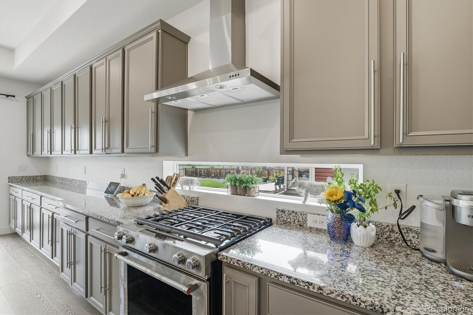 MLS Image #13 for 16578 e 111th place,commerce city, Colorado