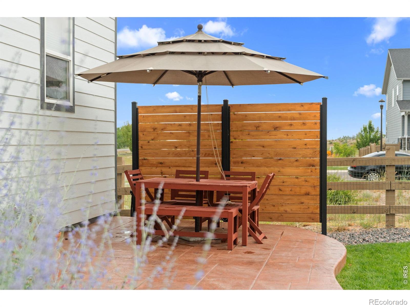 MLS Image #4 for 4204  martinson drive,loveland, Colorado