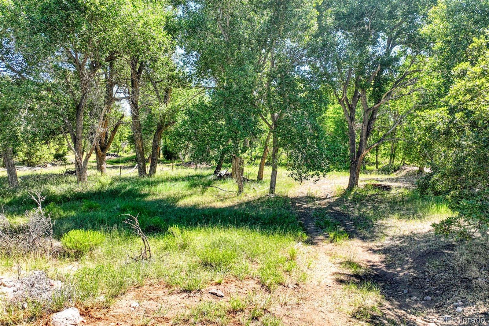 MLS Image #28 for 1218  colunty road 32x ,wetmore, Colorado