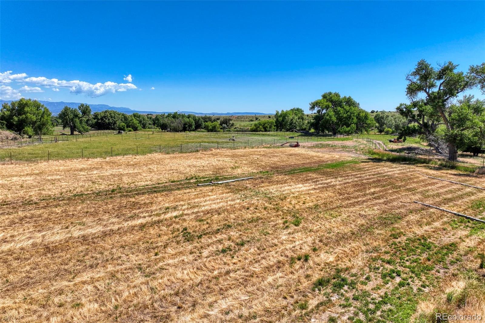 MLS Image #33 for 1218  colunty road 32x ,wetmore, Colorado