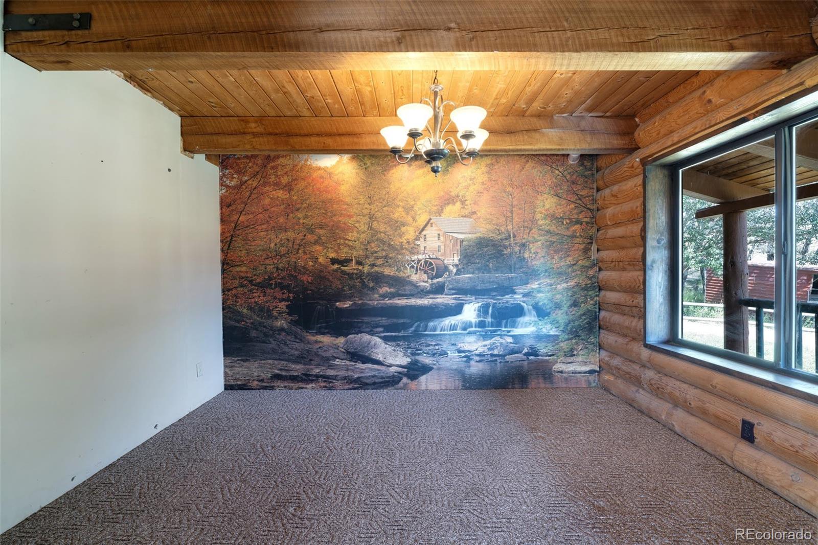 MLS Image #6 for 1218  colunty road 32x ,wetmore, Colorado