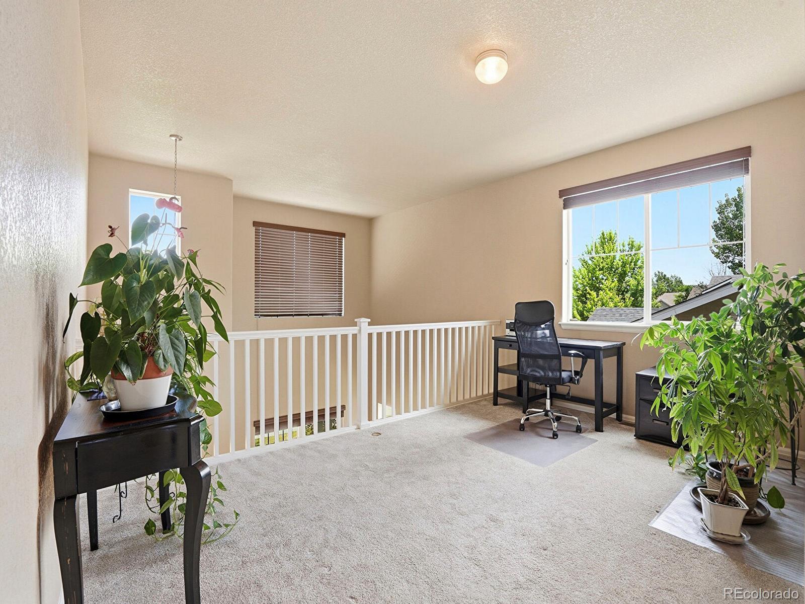 MLS Image #21 for 21536 e nassau place,aurora, Colorado