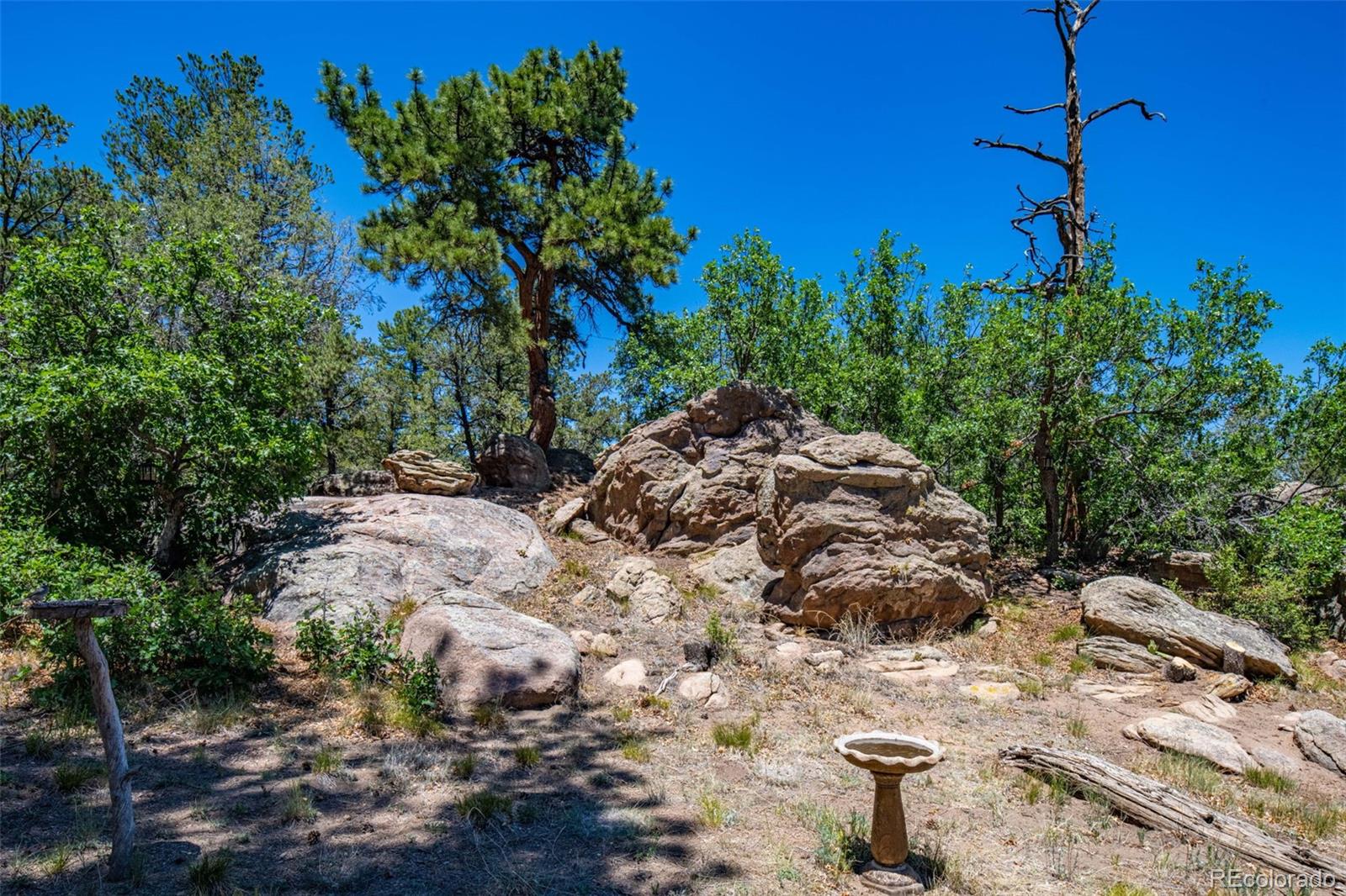 MLS Image #39 for 632  nels drive,cotopaxi, Colorado