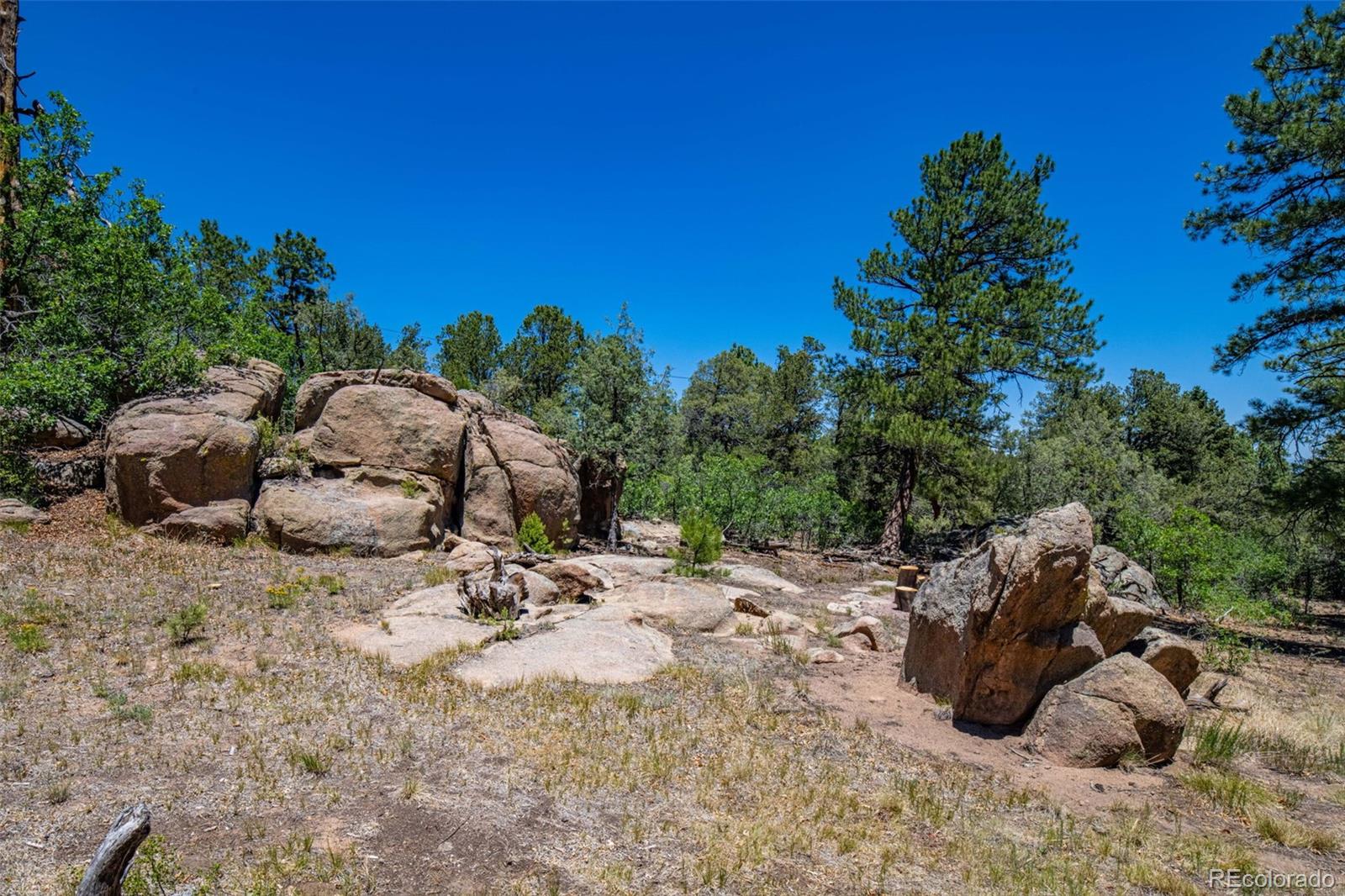 MLS Image #40 for 632  nels drive,cotopaxi, Colorado