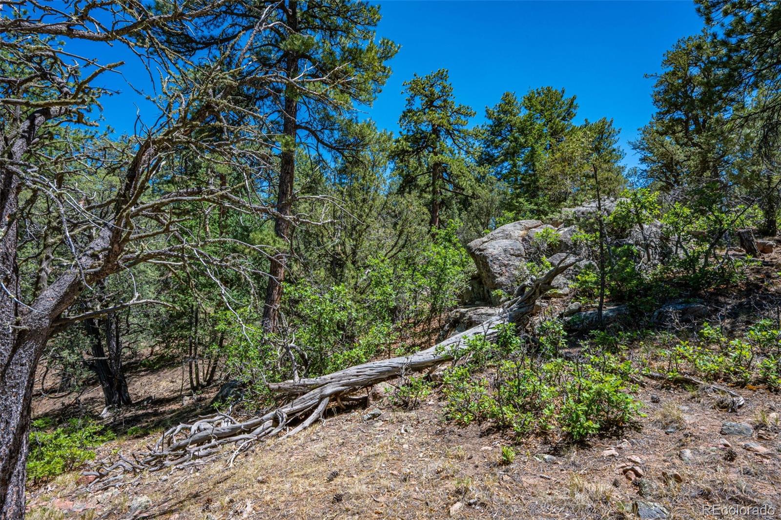 MLS Image #41 for 632  nels drive,cotopaxi, Colorado