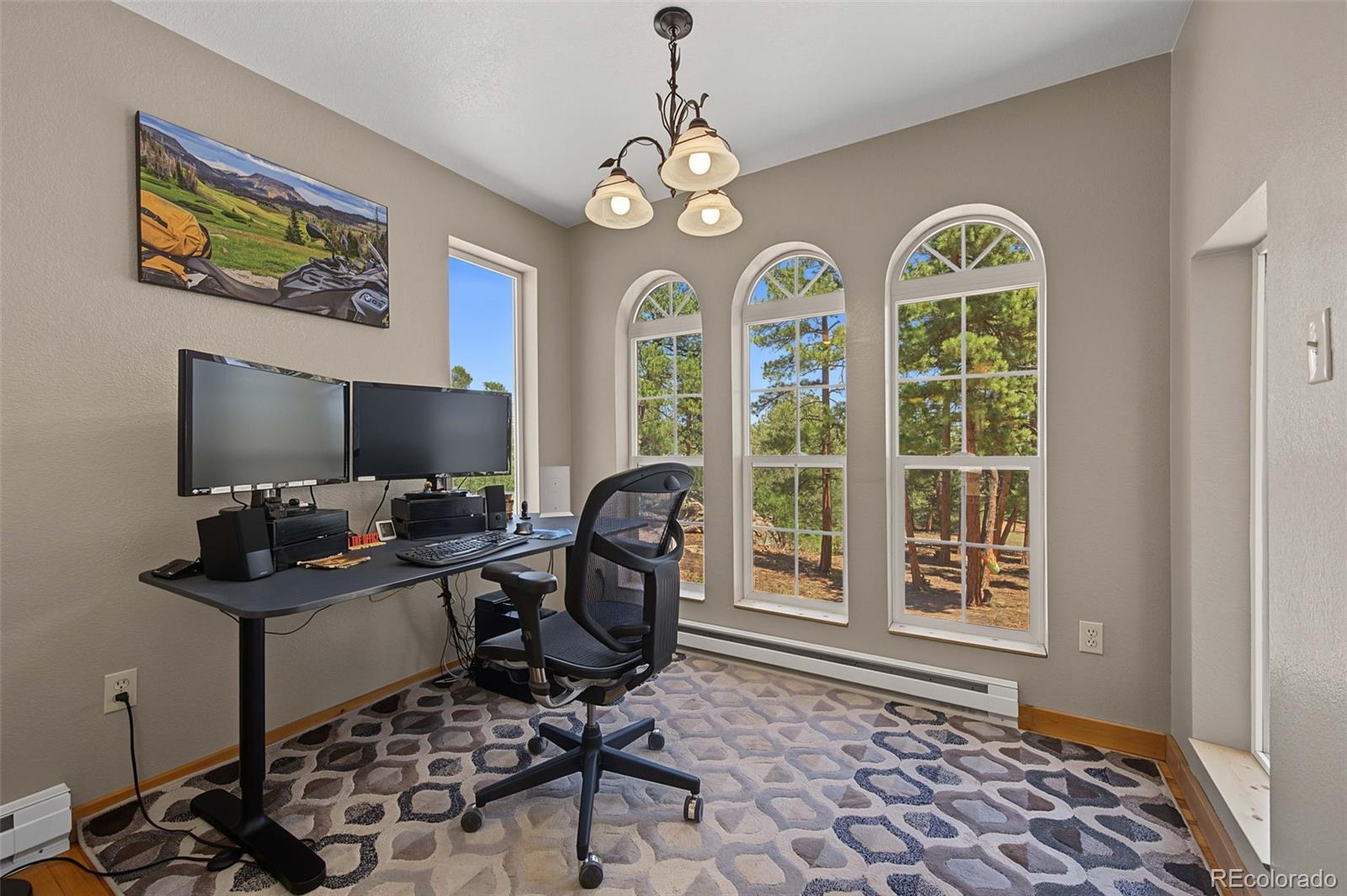 MLS Image #8 for 632  nels drive,cotopaxi, Colorado