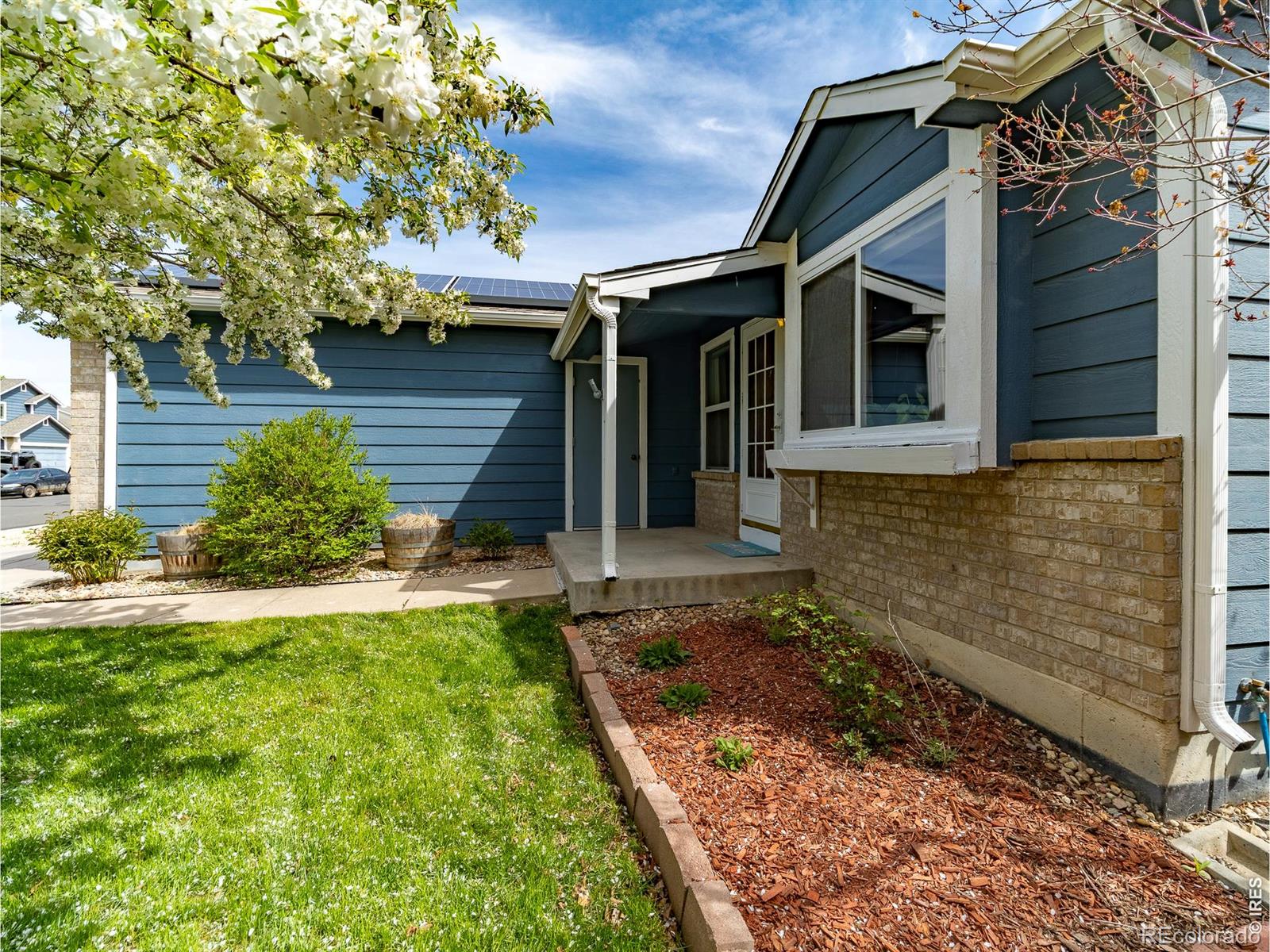 MLS Image #4 for 13146  raritan court,denver, Colorado