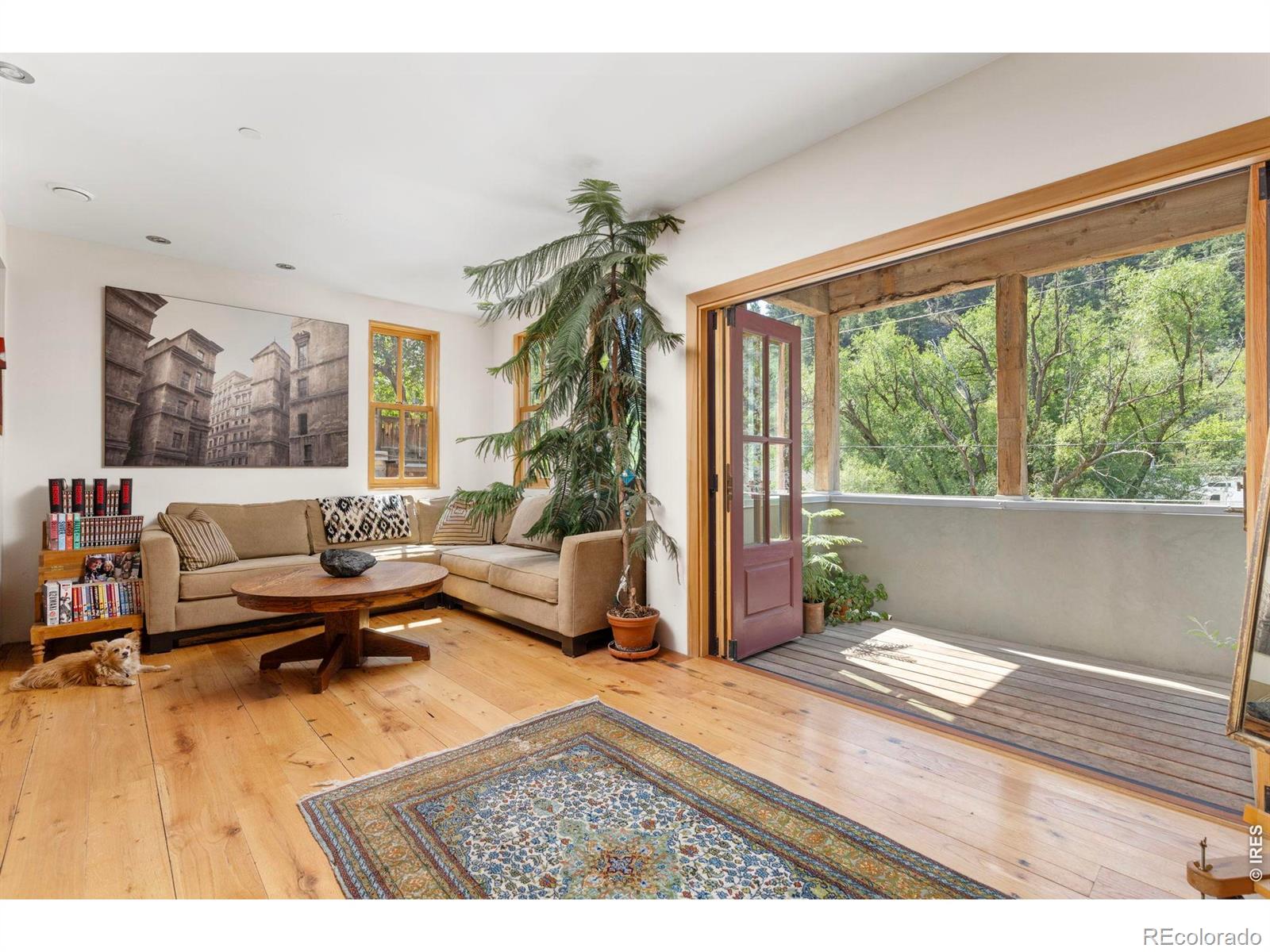 MLS Image #10 for 22  artesian drive,eldorado springs, Colorado
