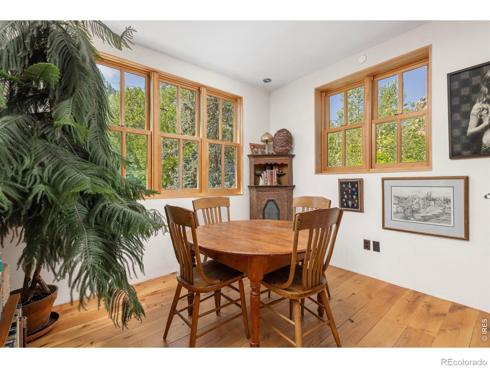 MLS Image #20 for 22  artesian drive,eldorado springs, Colorado