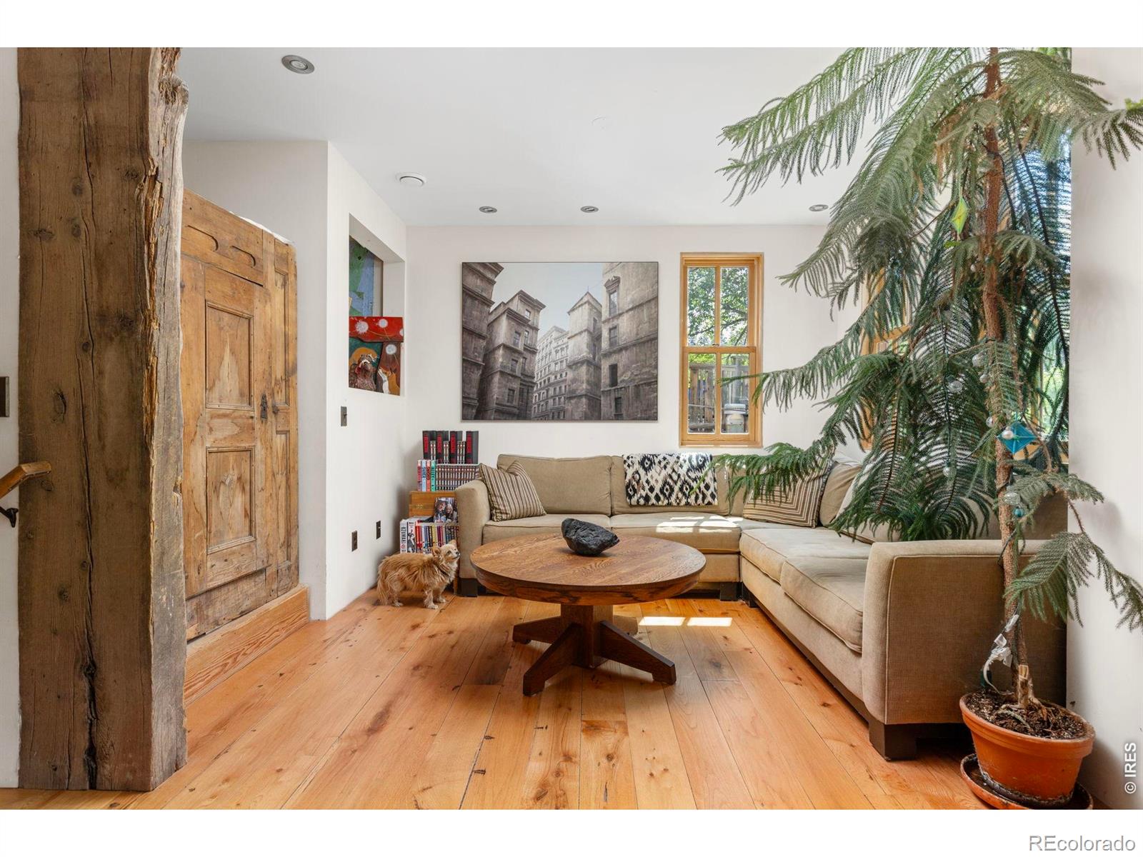 MLS Image #7 for 22  artesian drive,eldorado springs, Colorado
