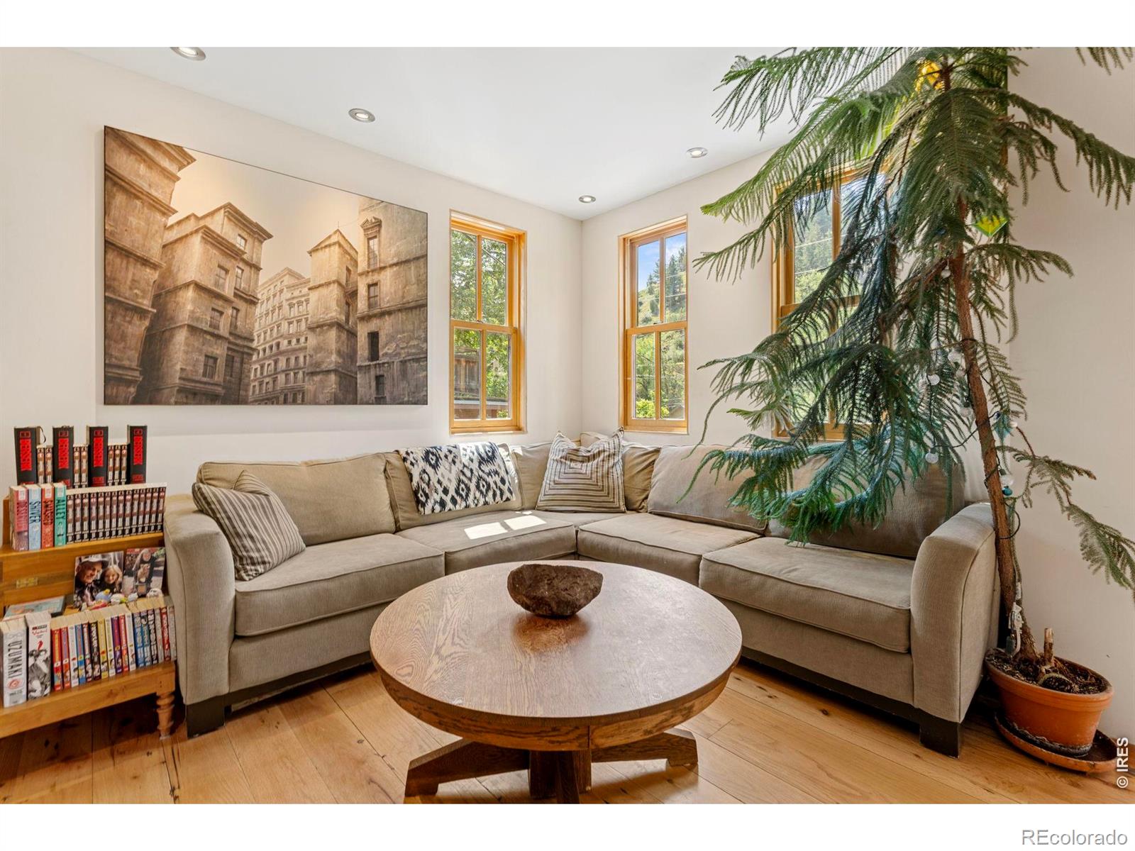 MLS Image #8 for 22  artesian drive,eldorado springs, Colorado