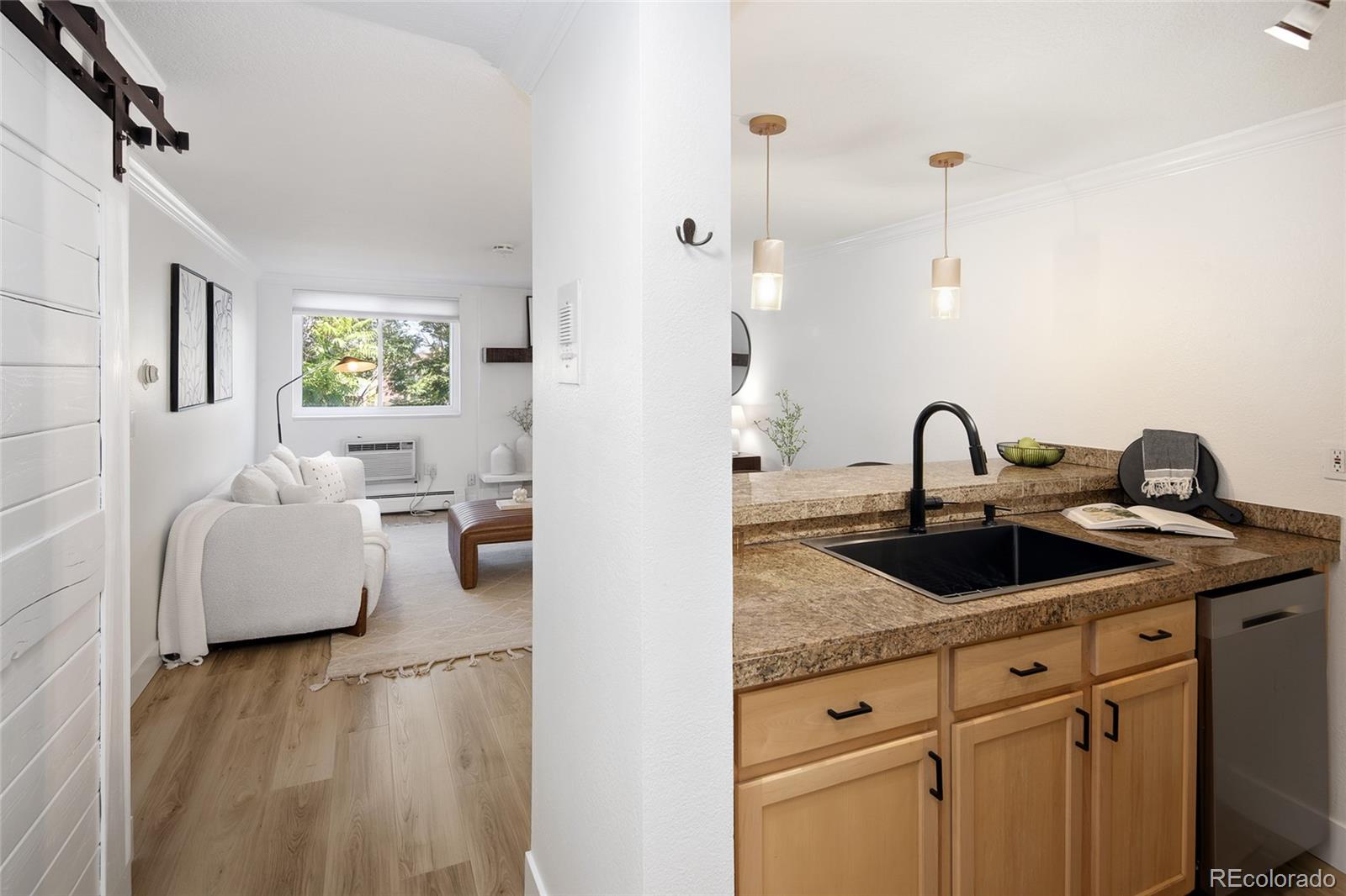 MLS Image #6 for 1125 n washington street,denver, Colorado