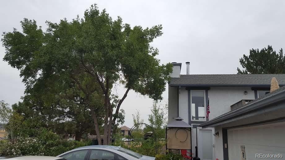MLS Image #5 for 6803 s liver pool street,centennial, Colorado
